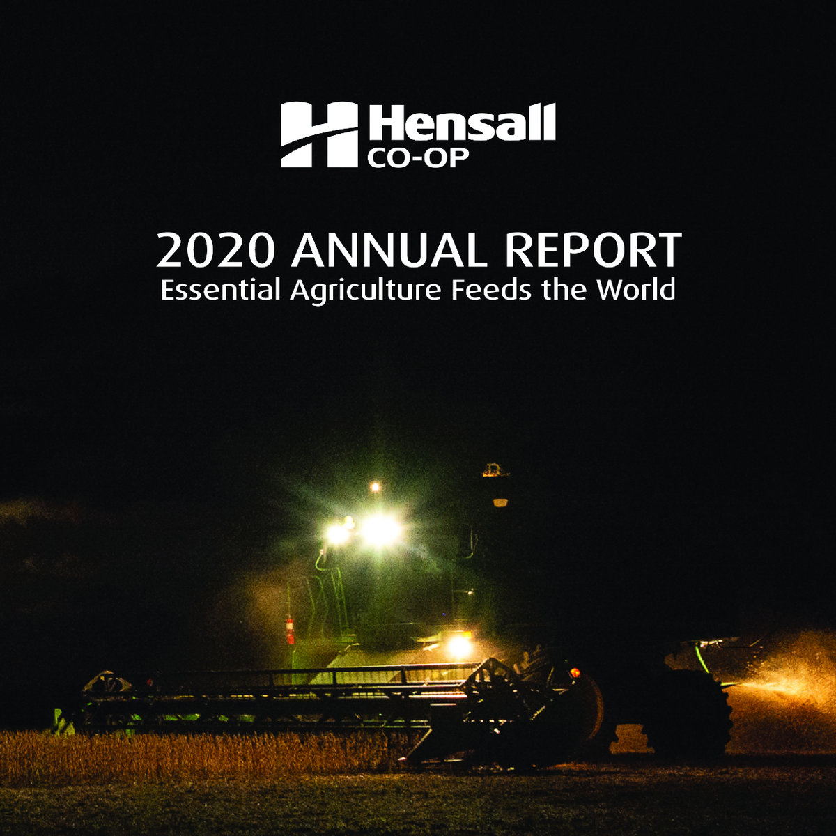 2020 Annual Report cover 